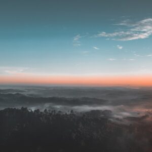 bird s eye view photography of green forest 1208379.jpg